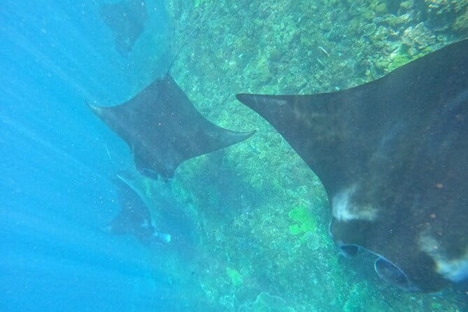 Bali Snorkling Blue Lagoon Beach with Lunch & Private Transport - Lunch included: a break that helps you enjoy the rest of the day