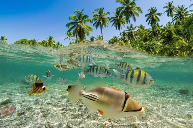 Bali Snorkling Blue Lagoon Beach with Lunch & Private Transport - Meeting at Topi Inn and getting to the beach