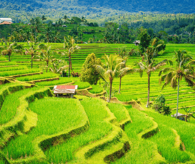 Bali: Tanah Lot, Rice Terrace, Ulun Danu & taman ayun temple - Taman Ayun Temple: A Beautiful Stop With Real Historical Value