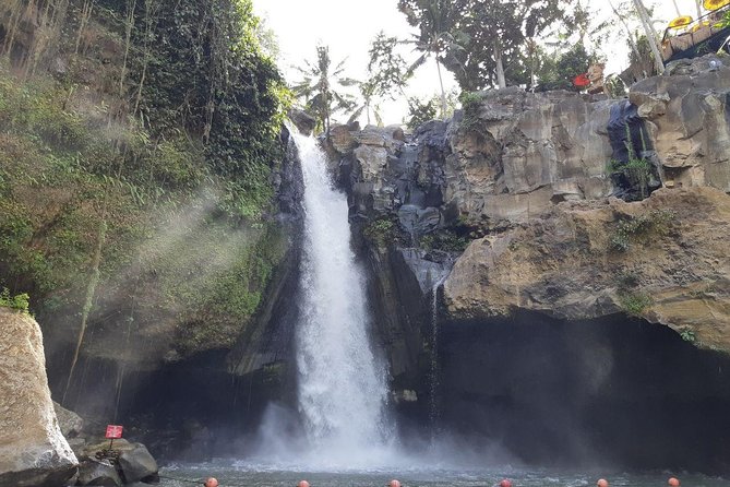 Bali Tour: Ubud Most Popular Place - Key highlights you’ll care about