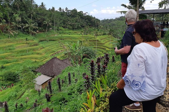 Bali Tour: Ubud Most Popular Place - Tegalalang Rice Terrace: the view is the point, so bring your best eye