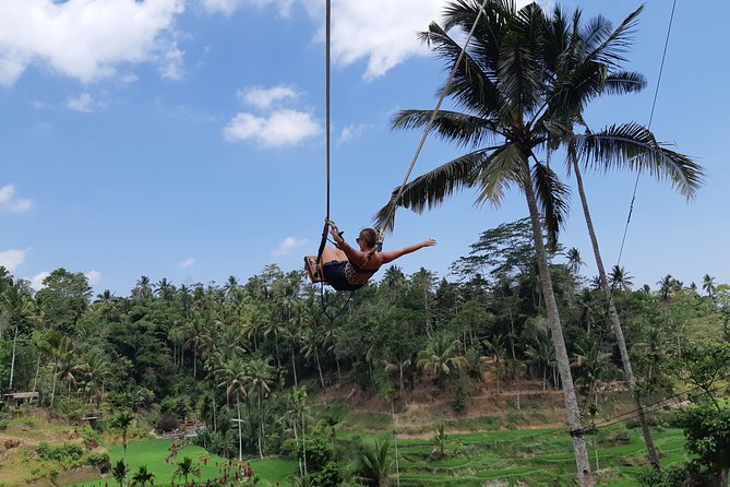 Bali Tour: Ubud Most Popular Place - Transportation and timing: where value really shows up