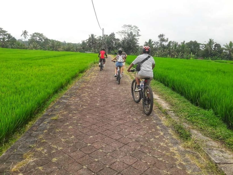 Bali: Ubud Country Side Cycling Tour with Lunch - Key points worth knowing before you pedal