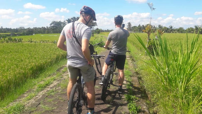 Bali: Ubud Country Side Cycling Tour with Lunch - Who should book this tour in Petang (and who should skip)