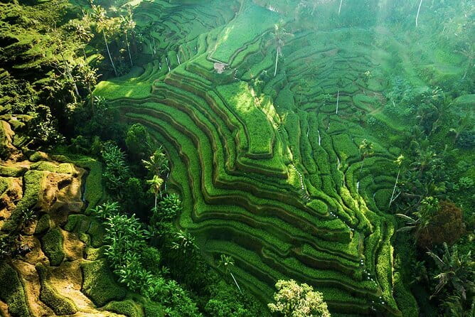 Bali: Ubud (Temple, Spring, Rice Terraces, & Waterfall) - Key things I’d circle before you book