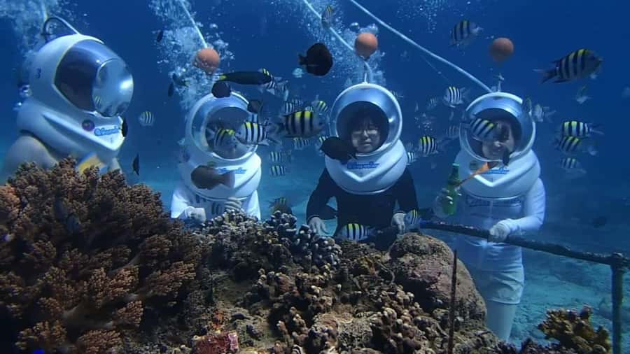 Bali: Watersport Jetski Seawalker Flyfboard Exclusive - Pickup, Drop-Off, and the Private-Group Pace Around South Bali