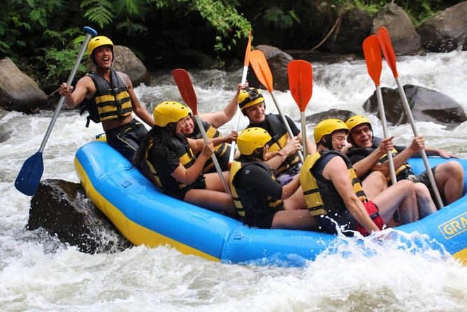 Bali White-Water Rafting Adventure - Coffee Plantation Stop: Tastings, the Civet Story, and What Coffee Luwak Means Here