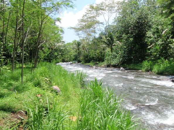 Bali White Water Rafting + Bali ATV Ride - Quick Highlights