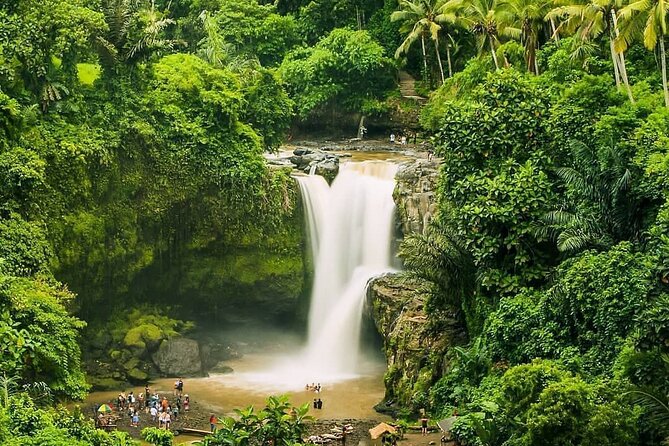 Balinase Cooking Class and Private Ubud Day Tour - Sacred Monkey Forest Sanctuary: photos, rules, and real behavior
