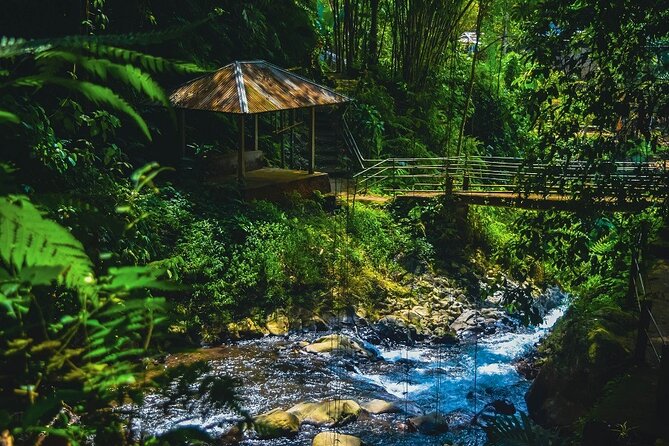 Bedugul and Singaraja Tour - Gitgit Waterfall Walk: Rainforest Steps, Not Just a View