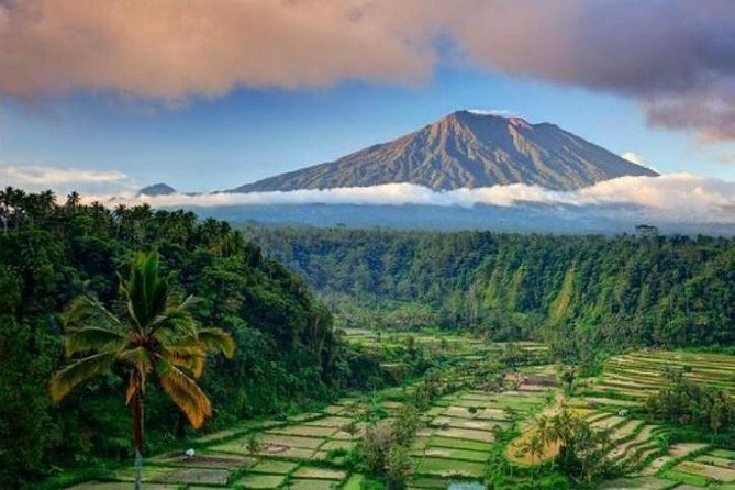 Best bali transport service - custom your own itinerary - Key highlights worth planning for