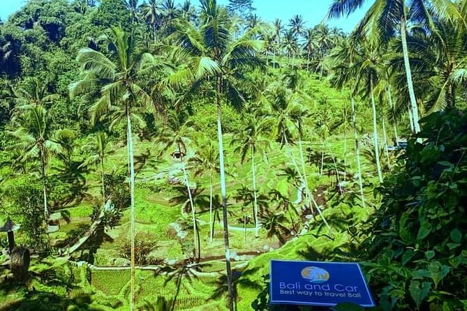 Best bali transport service - custom your own itinerary - Choosing Your Bali Neighborhood Stops Without Getting Trapped by Traffic