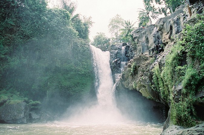 Best Day Tour - #1 Ubud Top Attraction - Price check: does $38 buy good value?