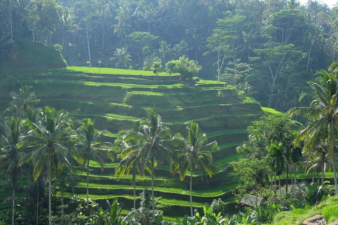 Best of Bali Private Shore Excursions - Gunung Kawi Sebatu: Spring Holy Water and Volcanic Pools