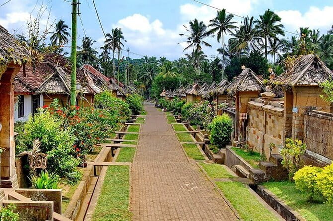 Best of Bali Private Shore Excursions - Tegalalang Rice Terrace Walk: Water Channels, Bright Greens, and Real Views