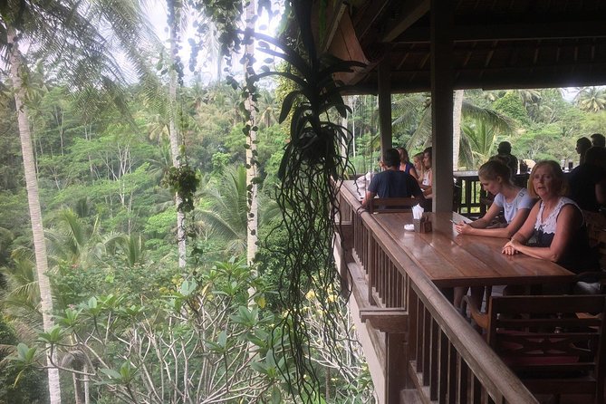 Best of Bali : Ubud, Rice terrace, Tanah lot temple with Lunch - Price and what you’re really getting for $60