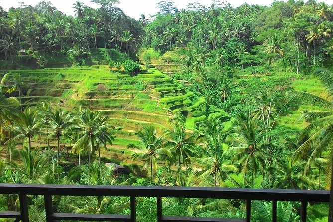 Best of Bali : Ubud, Rice terrace, Tanah lot temple with Lunch - The “one-day highlights” flow: smart, but plan for a long day