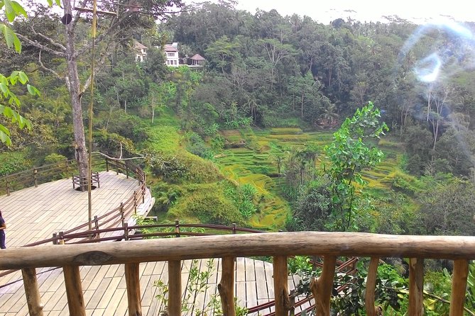 Best of Bali : Ubud, Rice terrace, Tanah lot temple with Lunch - Stop 1: Tegalalang Rice Terrace and why the details matter