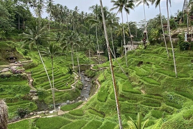Best of Instagram Tour: Gate of Heaven, Tirta Gangga, Bali Swing - Who this Bali day trip fits best (and who should skip it)