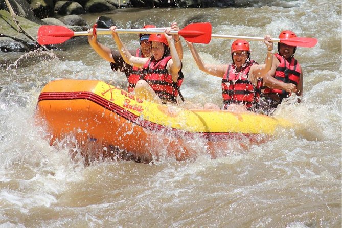 Best of Ubud Adventure: Ayung Rafting - ATV - Quad Bike with Private Transport - Stop 2: Ayung River rafting with Red Paddle Bali Adventures