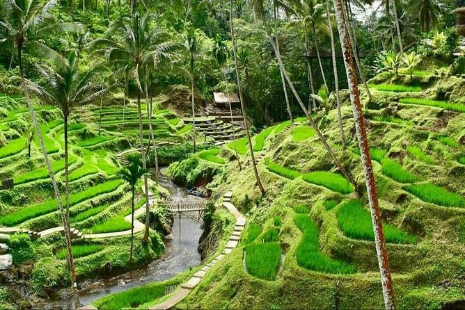 Best of Ubud Full Day Private Guided Tour - Stop-by-stop: from Barong dance to Tegenungan waterfall