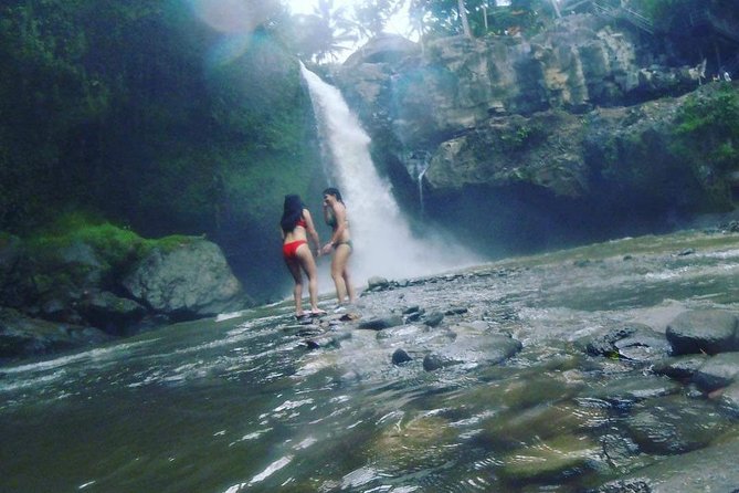 Best of Ubud Full Day Private Guided Tour - Onboard Wi‑Fi and A/C private rides: small comfort, big savings