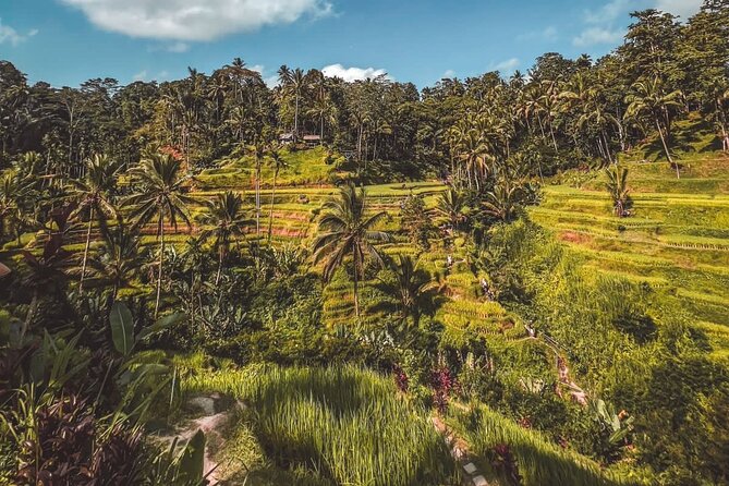 Best Of Ubud Private Day Tour With Local Guide - Celuk Village for Gold and Silver Craft: Short Time, Strong Culture Signal