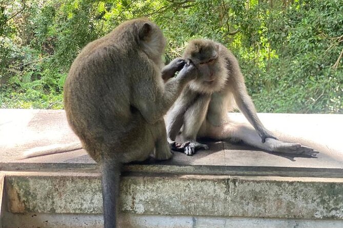 Best Of Ubud Private Day Tour With Local Guide - Price and Value: What $51.51 Buys You (and What It Doesn’t)