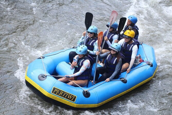 Best Of Ubud Rafting And Swing All Inclusive - Private tour perks: why “just your group” changes the experience