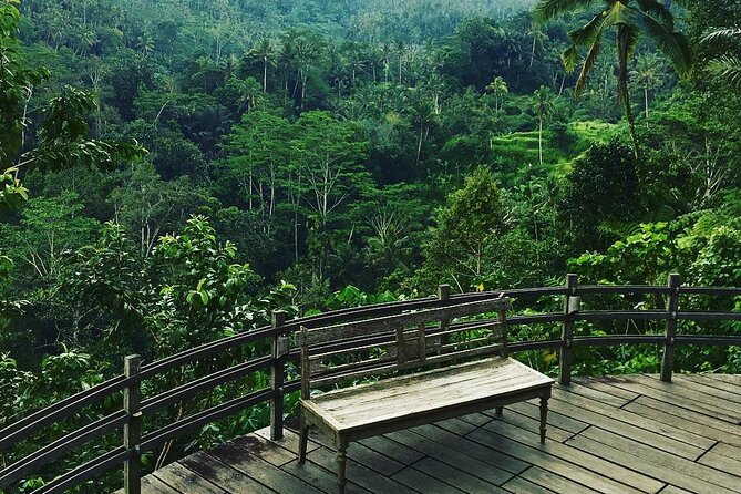 Best of Ubud: Rice Terrace, Temple and Waterfall Private Tour - Sacred Monkey Forest Sanctuary: temples, shade, and respectful distance
