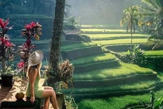 Best of Ubud Sightseeing Private All Inclusive Tour - Key highlights you should care about