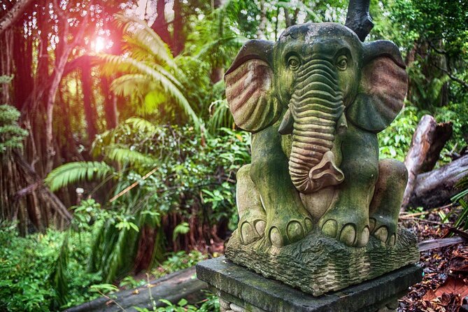 Best of Ubud Sightseeing Private All Inclusive Tour - Tegalalang Rice Terrace: photos are easy, understanding takes a minute
