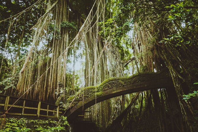 Best of Ubud Sightseeing Private All Inclusive Tour - Tegenungan Waterfall: the swim option and the smart comfort details