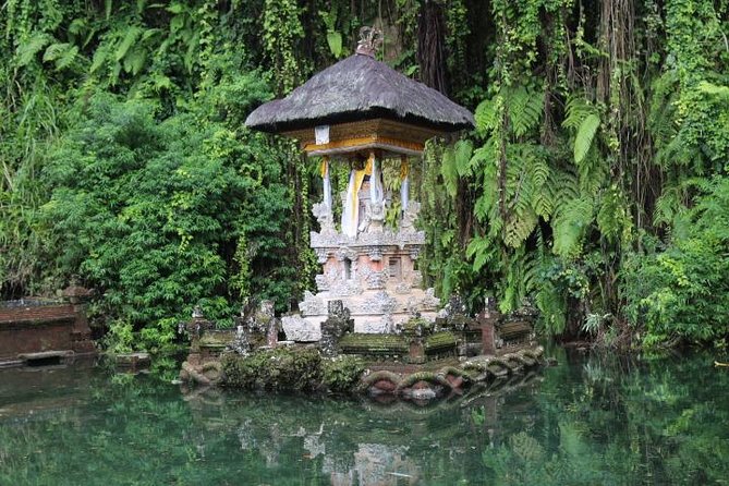 Best of Ubud with Jungle Swing Experience - Why This Private Ubud Day Feels More Local