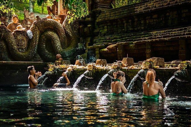 Best Ubud Tour Private Tour All Inclusive Package - Key Highlights You’ll Actually Care About