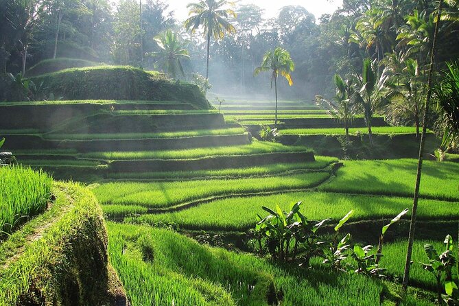 Best Ubud Tour Private Tour All Inclusive Package - From Kuta Pickup to an Air-Conditioned Ubud Day