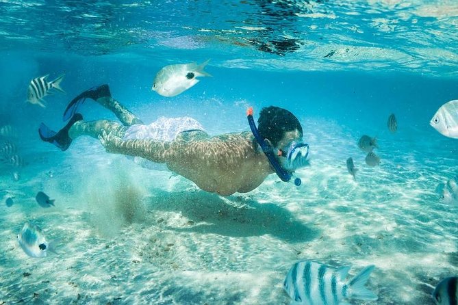Blow Lagoon Bali Snorkeling and see Bali Bats Cave Temple - Blue Lagoon near Padang Bai: what the snorkeling setup actually gives you