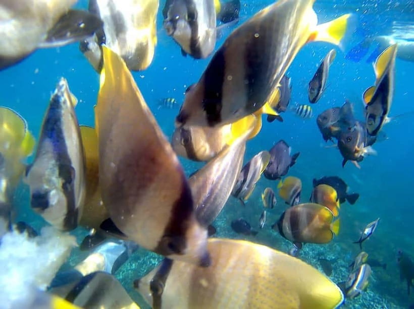 Blue Lagon Snorkeling, Waterfall, and Celuk Village Tour - Beachside Indonesian Lunch: A Real Break, Not a Side Note