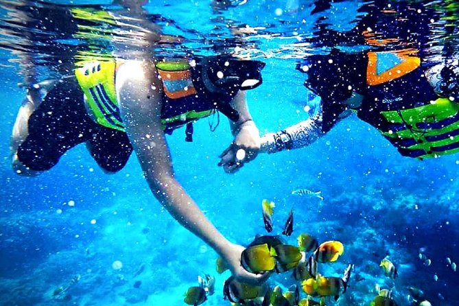 Blue Lagoon Paradise Snorkeling Tour - Key things I’d plan around