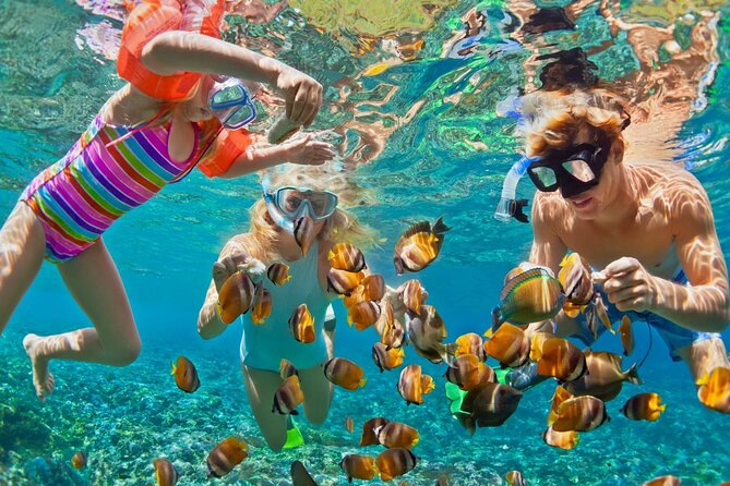 Blue Lagoon Snorkeling - Cave Waterfall - And More - All Included + FREE Wi-Fi - Padangbai Blue Lagoon snorkeling: private boat, two stops, real sea time