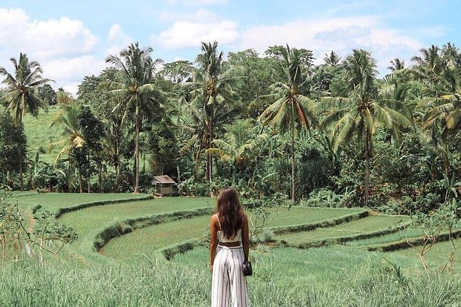 Blue Lagoon Snorkeling - Jungle Swing - Ubud - All Inclusive - My Swing Bali Jungle Swing: The Photo Moment You’ll Actually Want