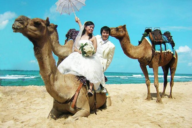 Camel Safari 30 minutes In White Sand Beach - Key highlights worth planning around