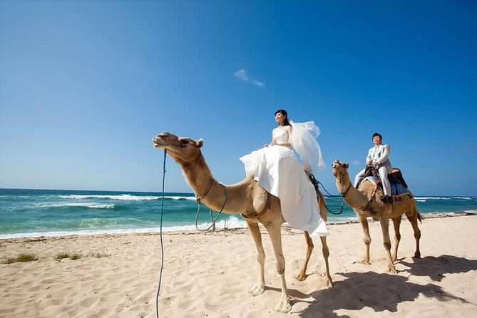 Camel Safari 30 minutes In White Sand Beach - Who This Camel Safari Suits Best Around Kuta and Nusa Dua