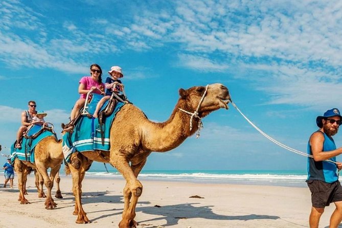 Camel Safari 30 minutes In White Sand Beach - Weather, Day-of Availability, and Timing Decisions