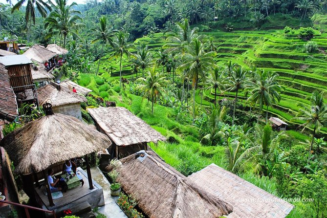 Charter Standard Vehicle with Driver at Bali- 5 Hours Usage - Your driver and car: what “standard charter” really means