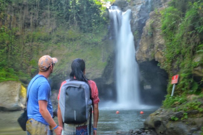 Cretya Ubud and Monkey Forest Sanctuary Tours - Key things that make this tour worth your time