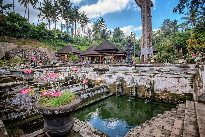Custom Private Tour: Experience East Bali - Stop 3: Ubud in One Hour (Monkeys, Elephant Cave Temple, Market)