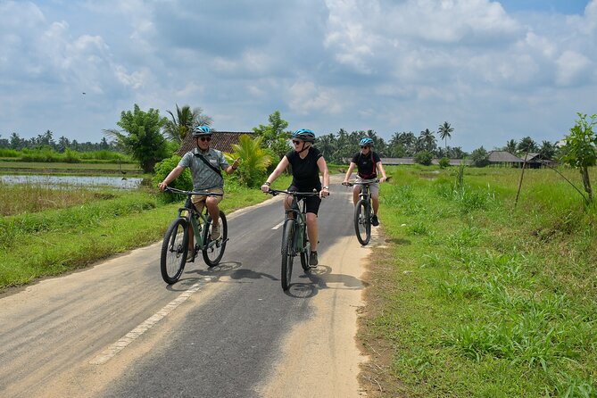 Cycling and Cooking Class in Ubud - Bikes, Helmets, and a Safety Car: Practical Details That Matter