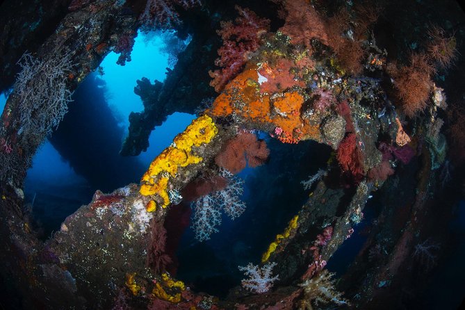 Day Trip certified divers - 3 Dives in Tulamben (pick-up & drop-off included) - Private instruction that actually affects how the day feels