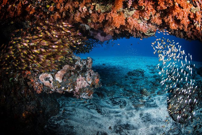 Day Trip certified divers - 3 Dives in Tulamben (pick-up & drop-off included) - Lunch at Tulamben Bay: more than a break
